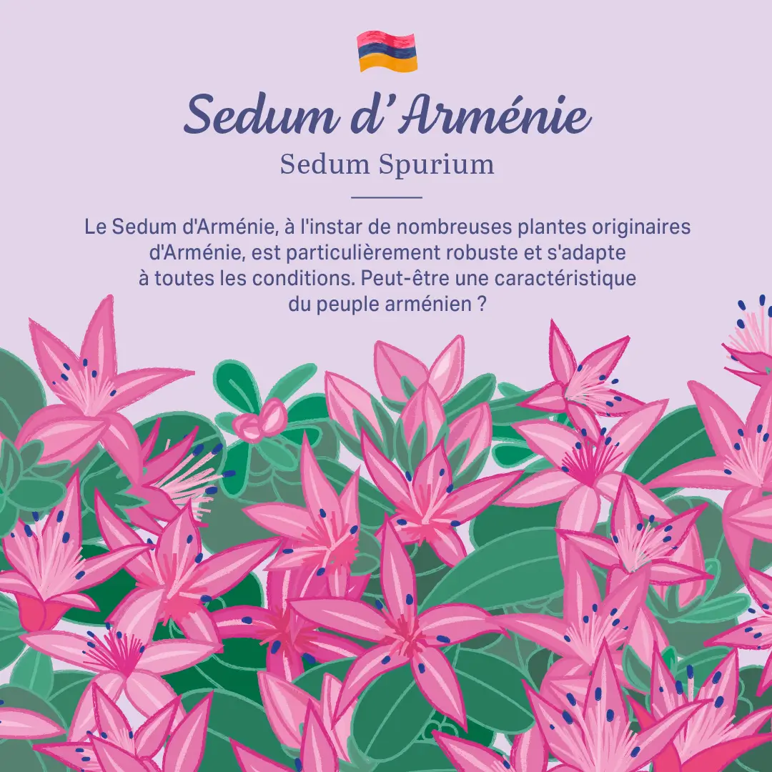 L'Arménie dans nos jardins