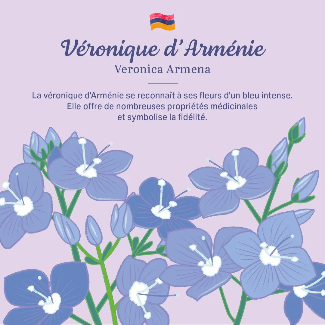 L'Arménie dans nos jardins