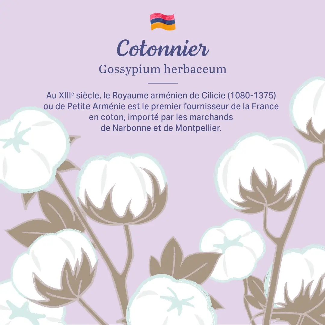 L'Arménie dans nos jardins