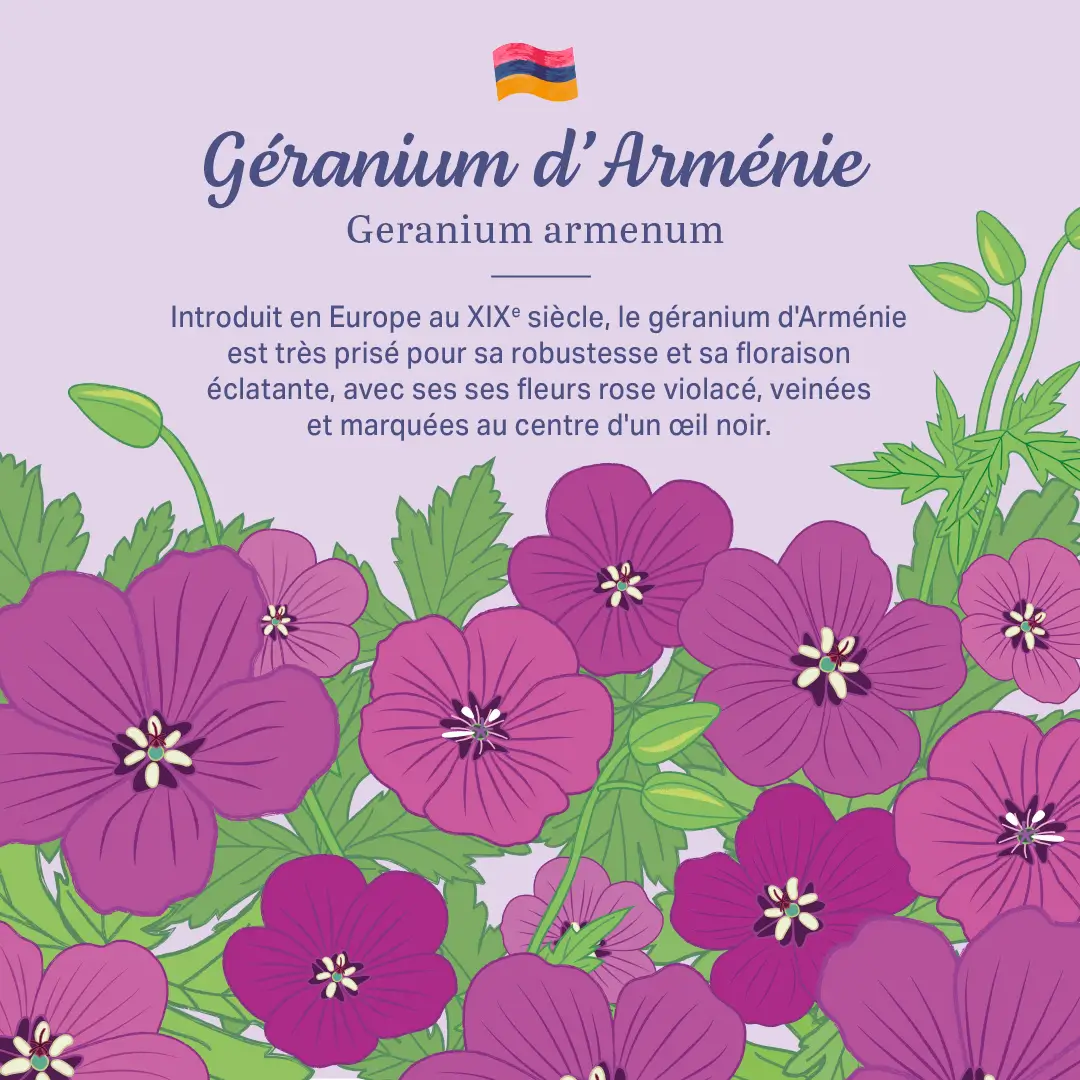 L'Arménie dans nos jardins