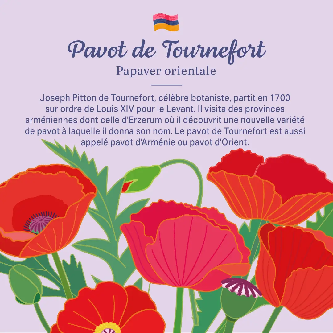 L'Arménie dans nos jardins