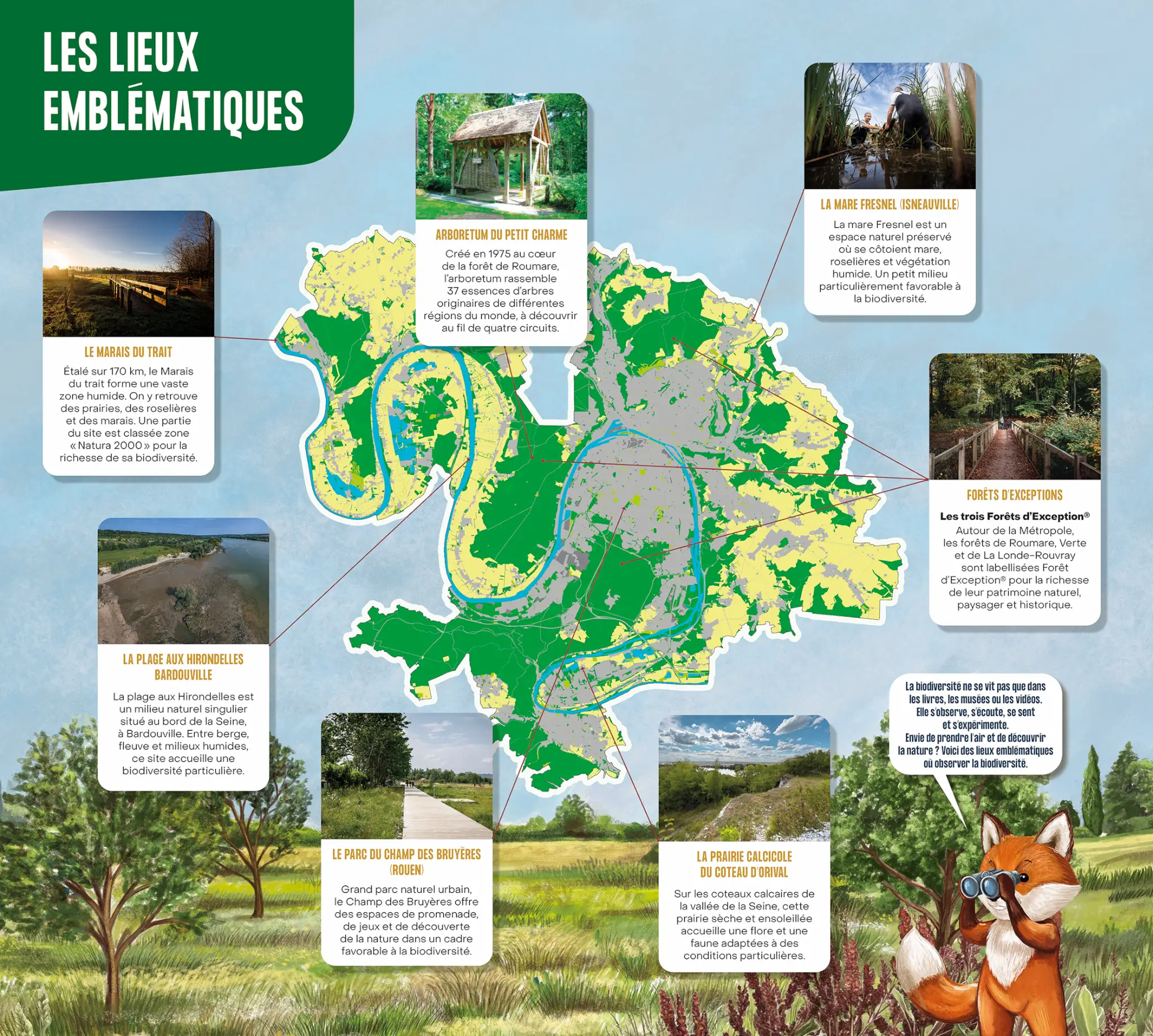 Exposition : Impact, la biodiversité en questions