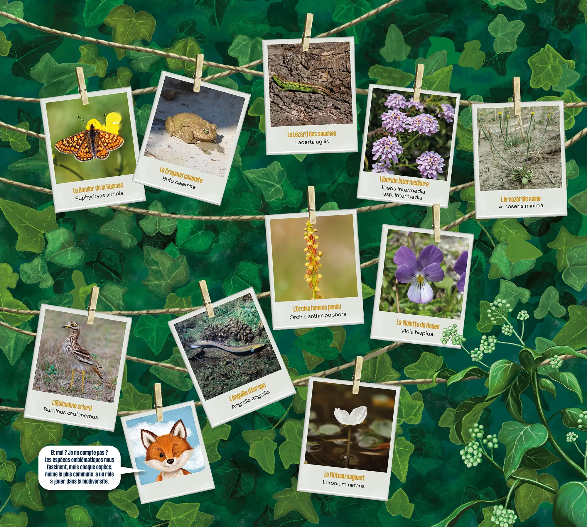 Exposition : Impact, la biodiversité en questions