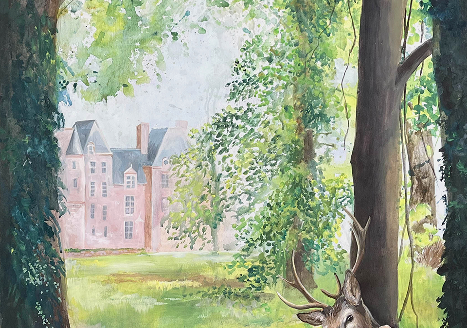 Les secrets de la Forêt Verte