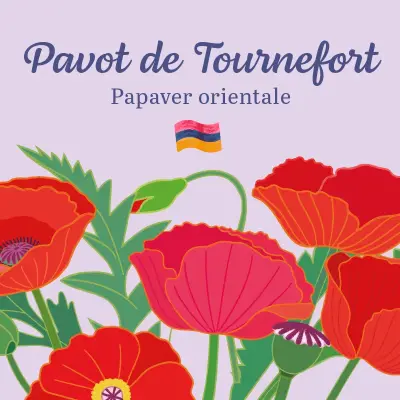 L&rsquo;Arménie dans votre jardin