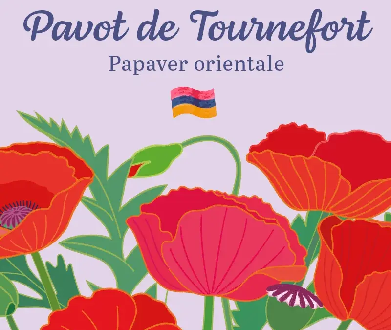 L&rsquo;Arménie dans votre jardin