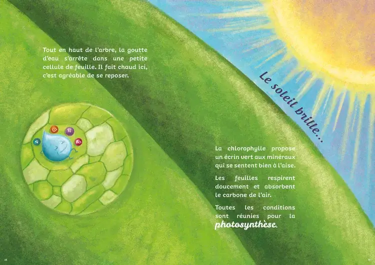 Livre Petite Goutte d'eau